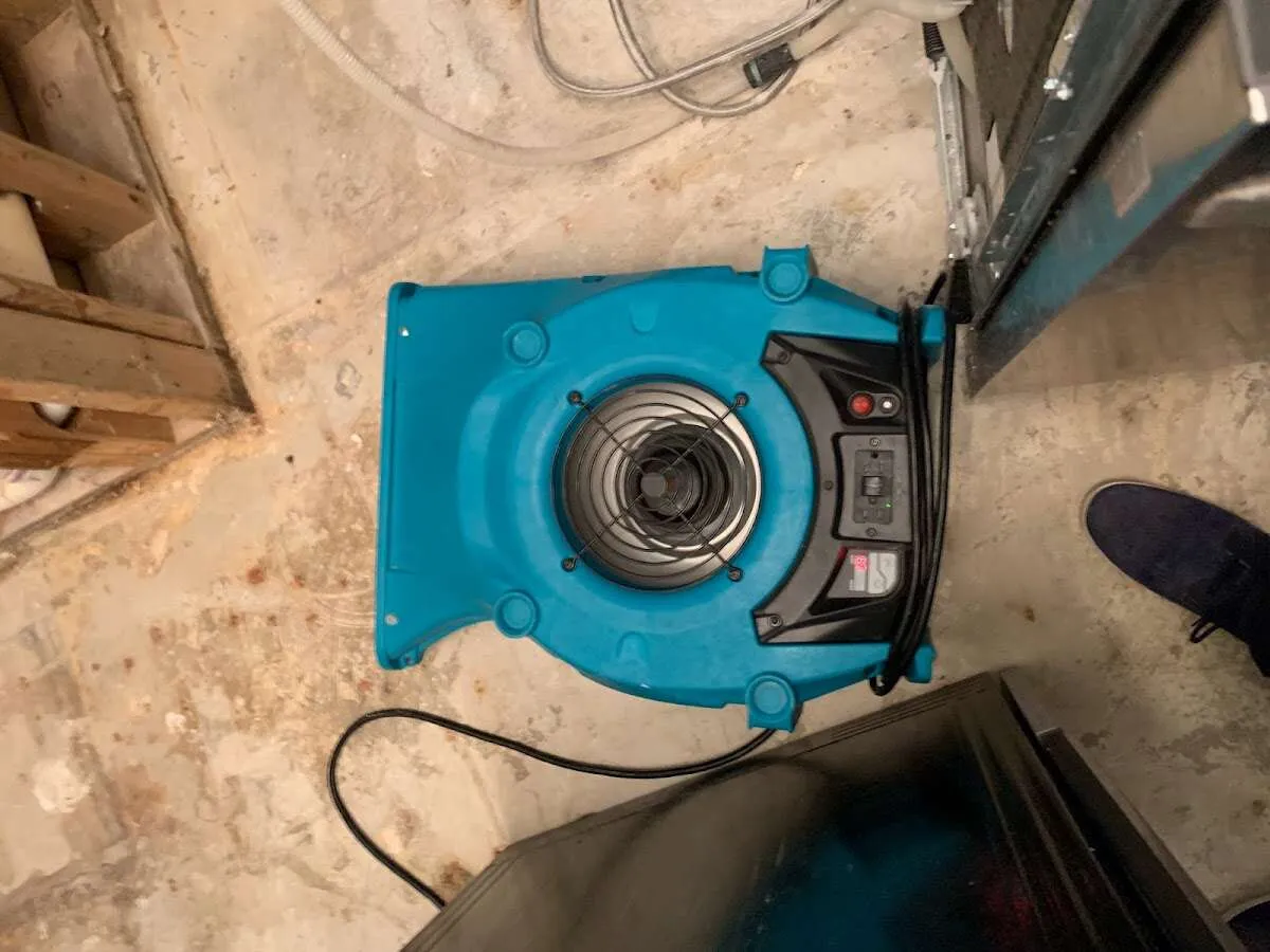 Air mover drying equipment for Mold Remediation & Removal in Wilton Manors